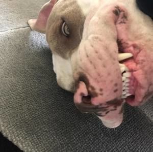 Meet your Posher, Val